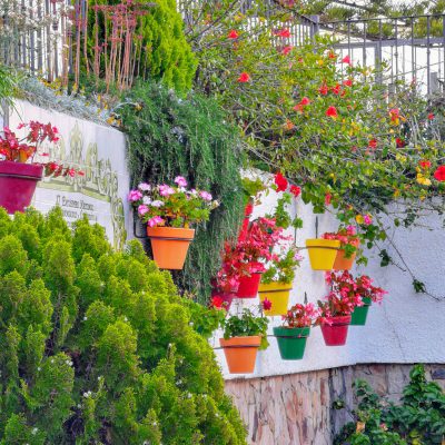 Old Town Flowers