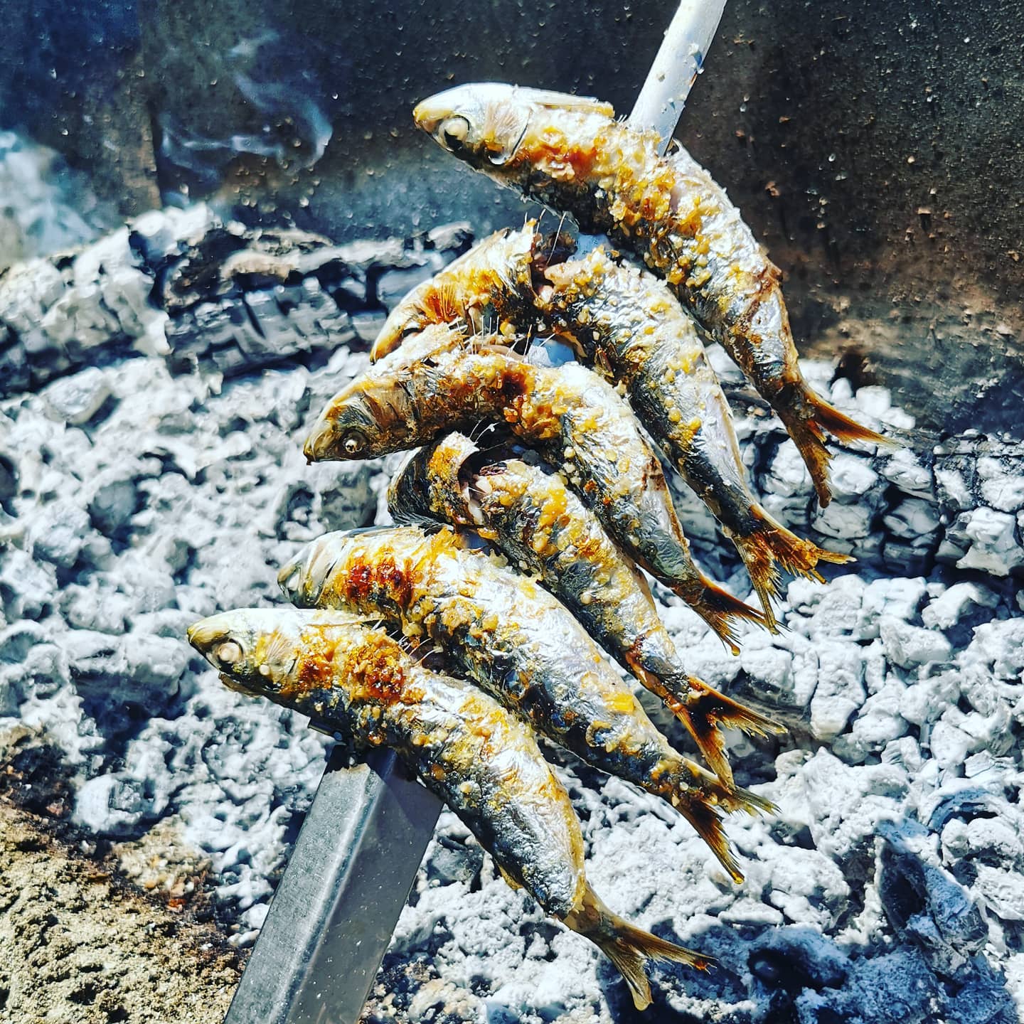 Sardine Espetos at El Madero Estepona